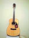 Fender GC23S.jpg